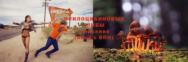 твердый Балахна