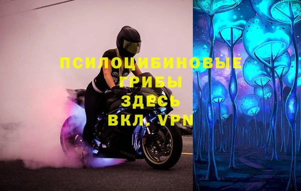 твердый Балахна