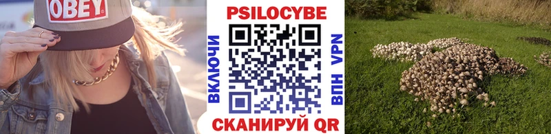 Галлюциногенные грибы GOLDEN TEACHER  Мурино 