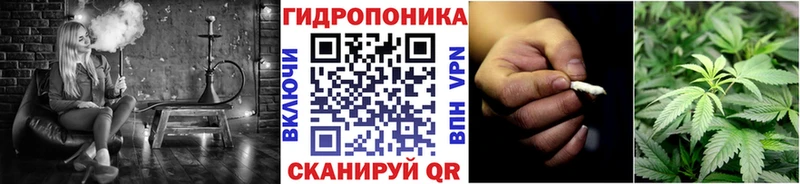 Бошки марихуана White Widow  MEGA ссылка  Мурино 